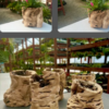 Grapewood Vase - Image 5